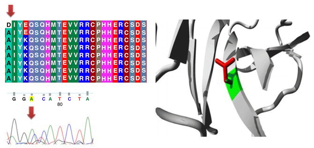 cosmic id amino acid change prediction score cosm44328 m160v