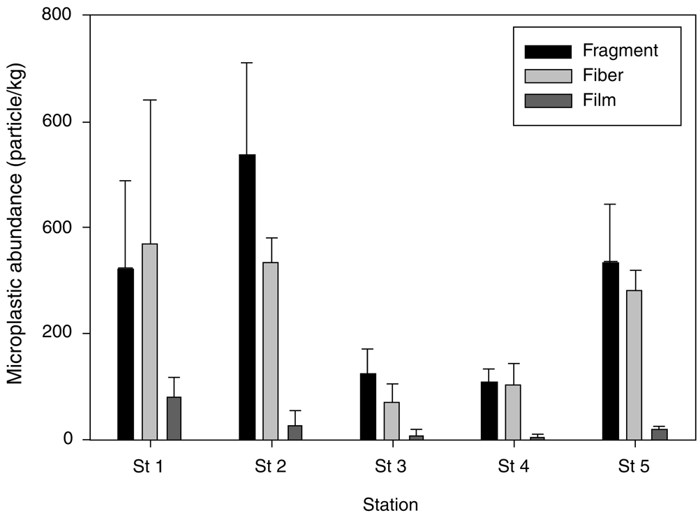 microplastics in the surface sediments from the eastern waters