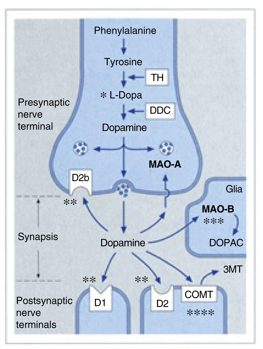 30 Nilotinib Parkinson's Off Label - Labels For You