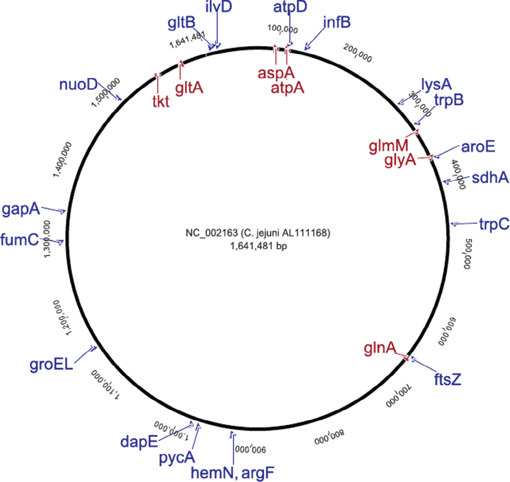 Molecular data analysis of selected housekeeping... F1000Research