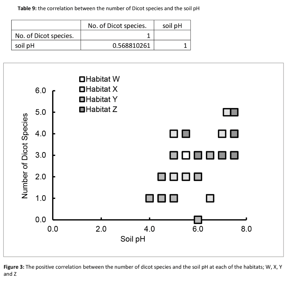 Trialling The Use Of Google Apps Together With Online Marking To