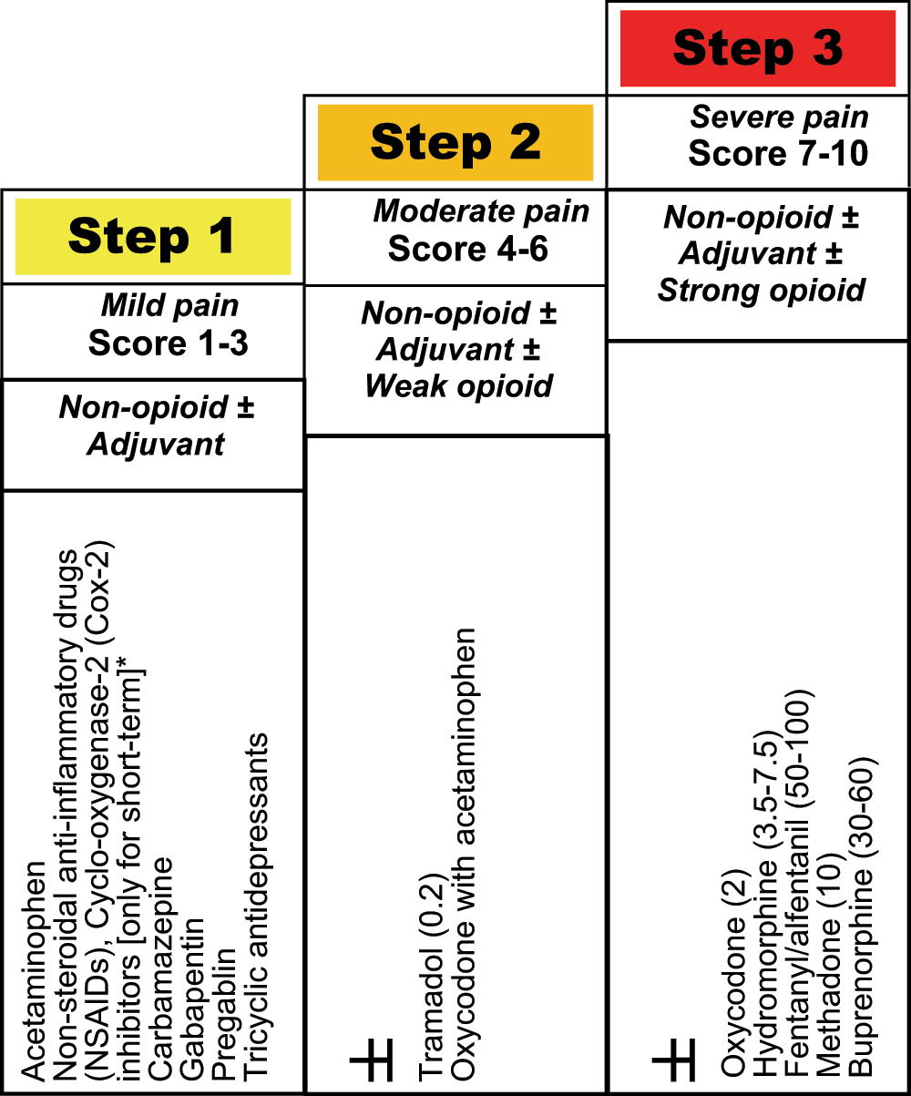 Management of acute and postoperative pain in... F1000Research