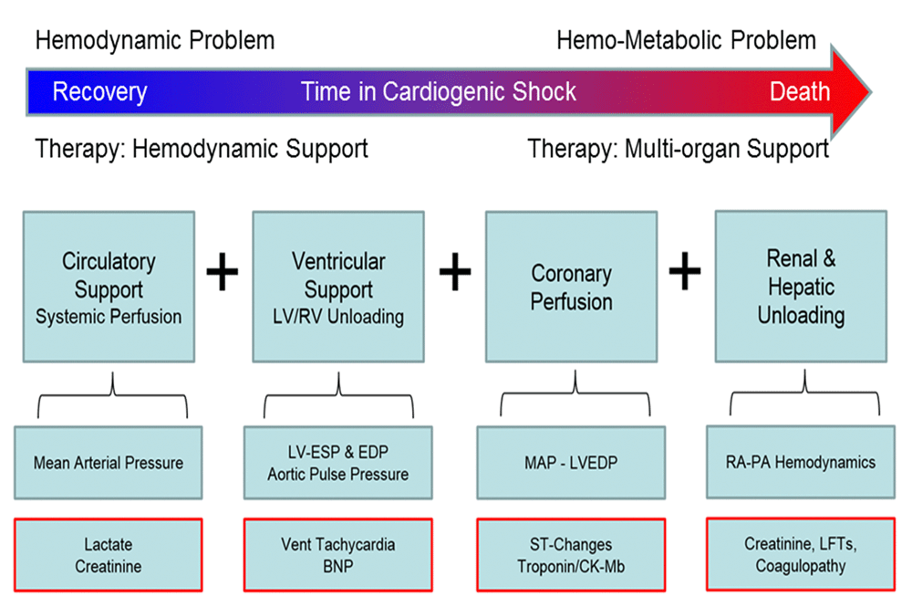 Acute Mechanical Circulatory Support For F1000research
