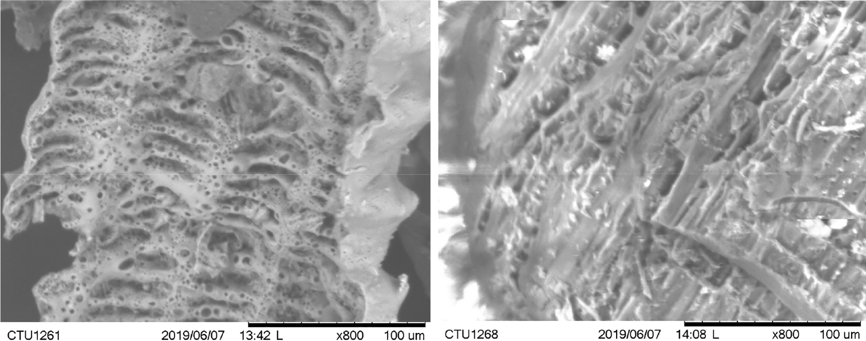 Picture Rice Biochar Rice husk and melaleuca biochar additions reduce... | F1000Research