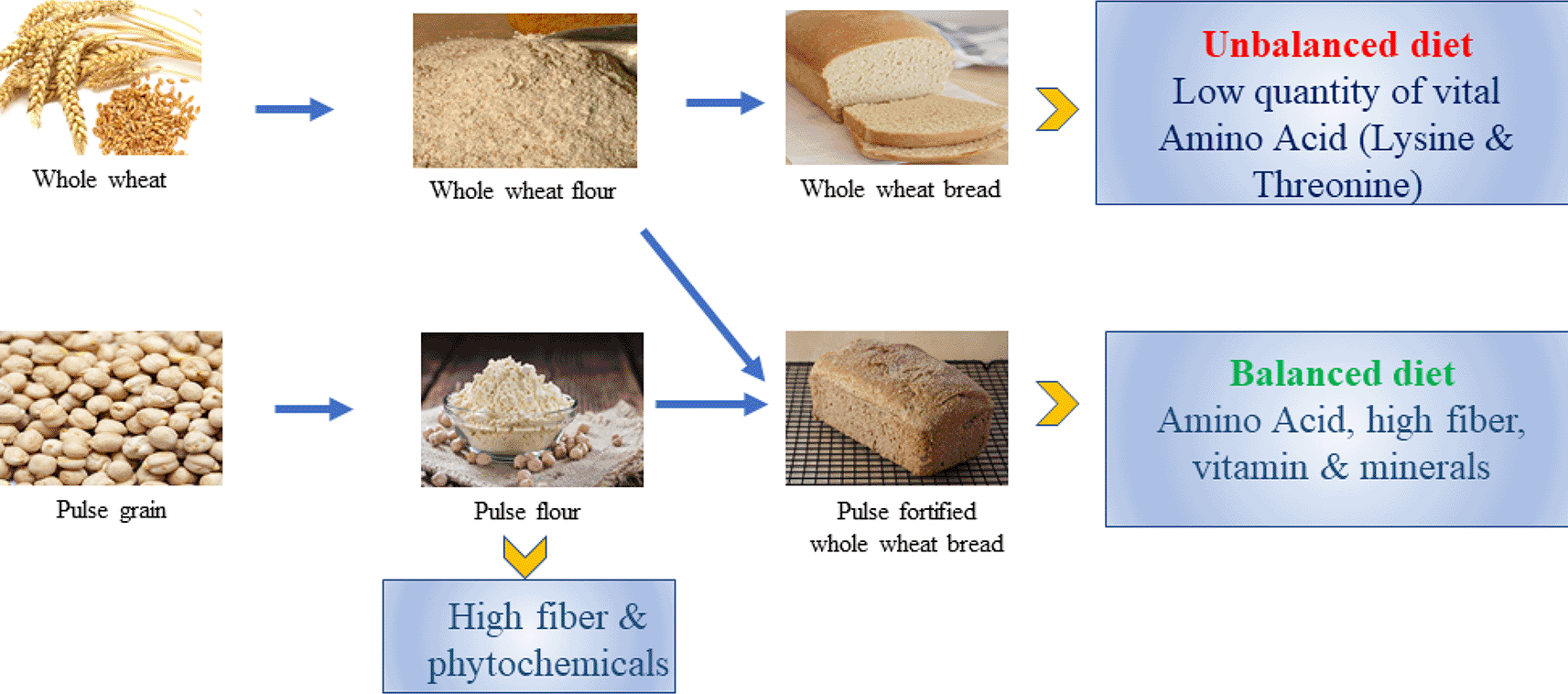 Pulse fortified whole wheat bread A review on... F1000Research