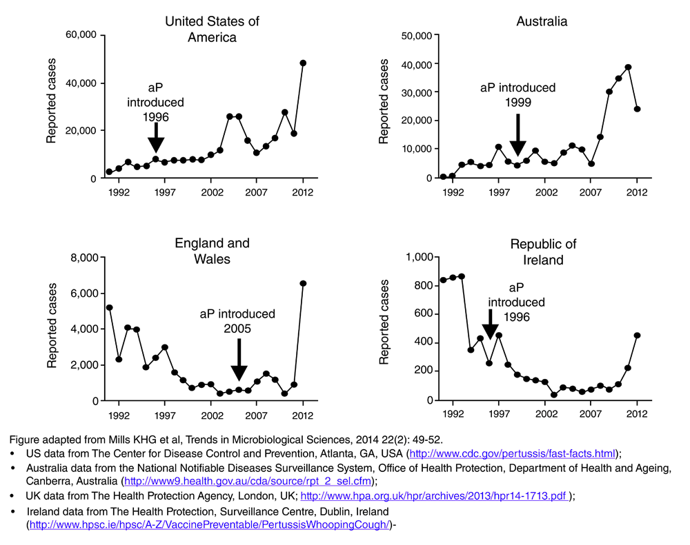 Join. adult australia bordetella pertussis you Adult australia bordetella pertussis really. All