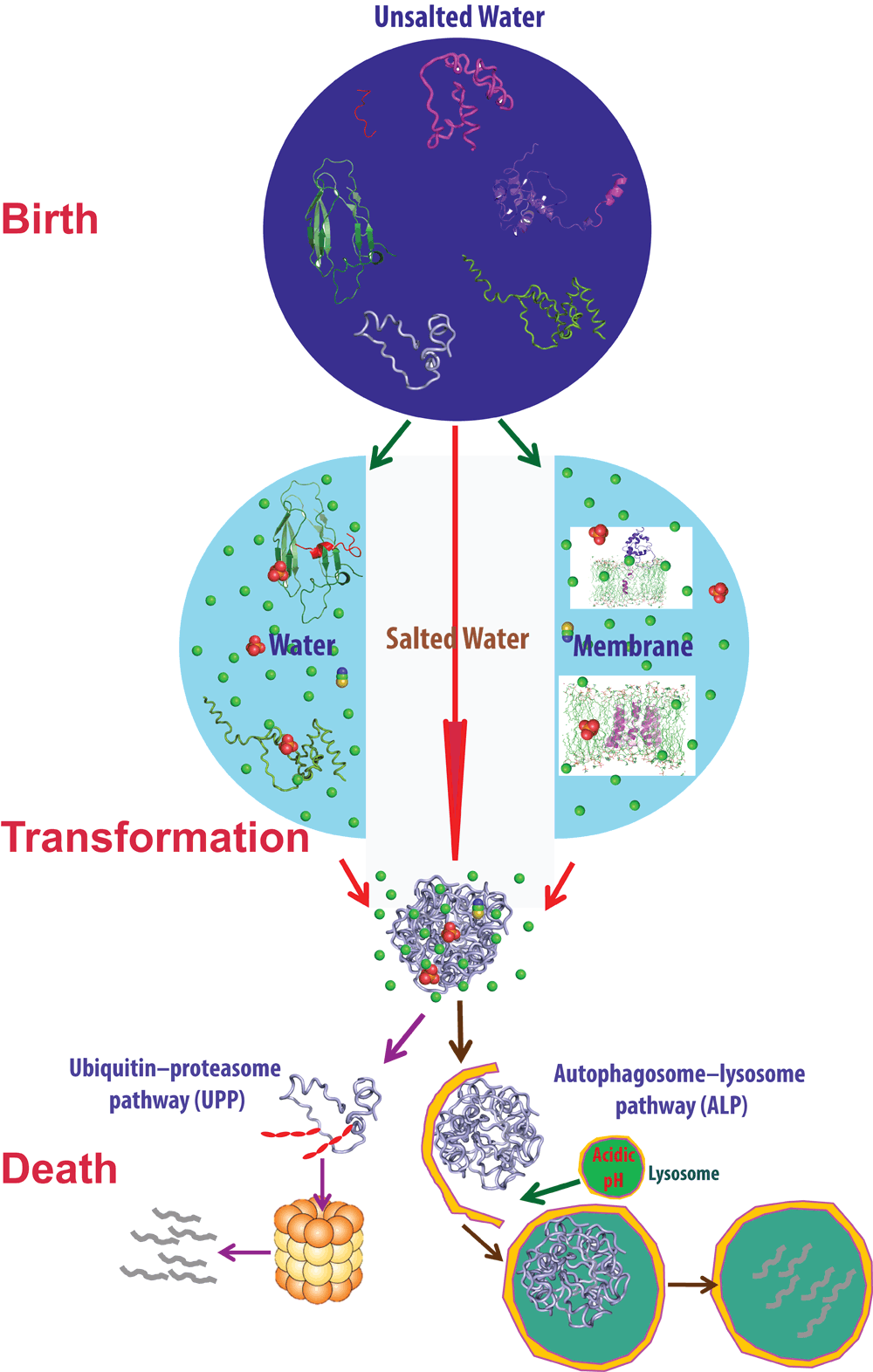 Why do proteins aggregate? “Intrinsically... F1000Research