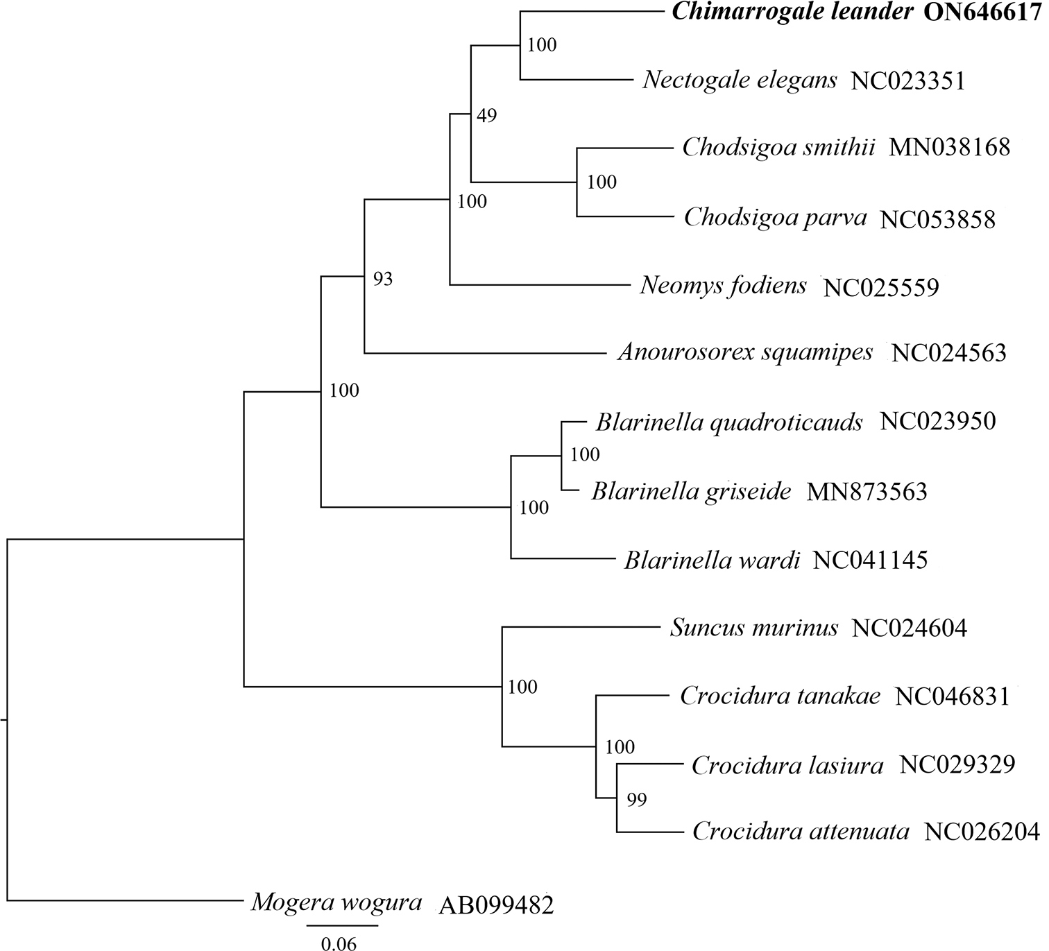 The complete mitochondrial genome sequence of... | F1000Research
