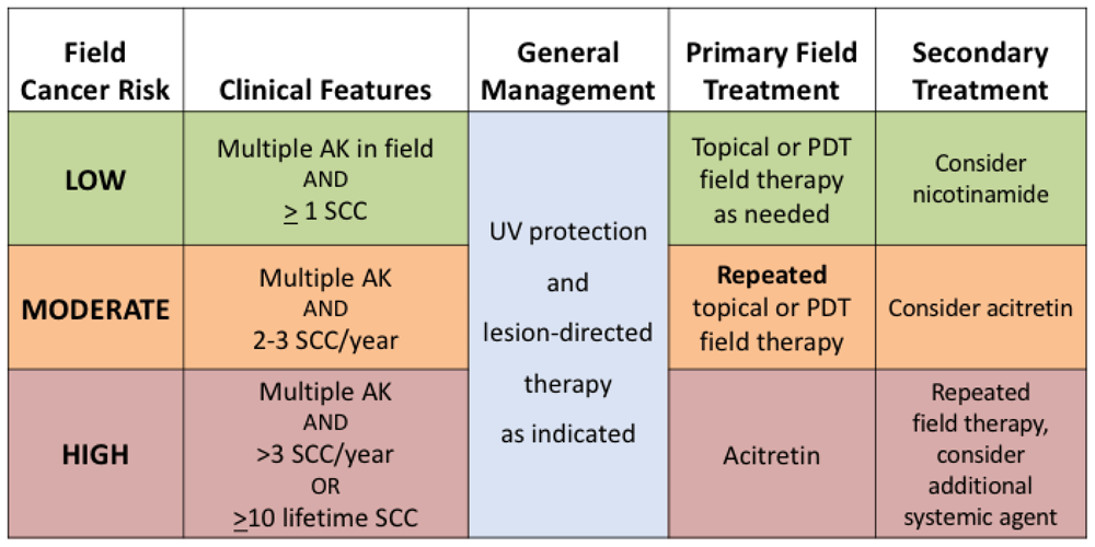 Recent advances in field cancerization and... F1000Research