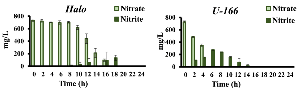 Laboratory Growth Of Denitrifying Water Column F1000research Laboratory Growth Of Denitrifying Water Column F1000research