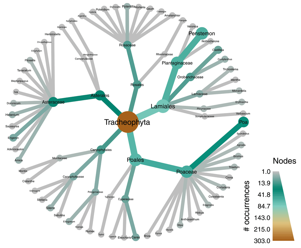 Taxa An R Package Implementing Data Standards And Methods For