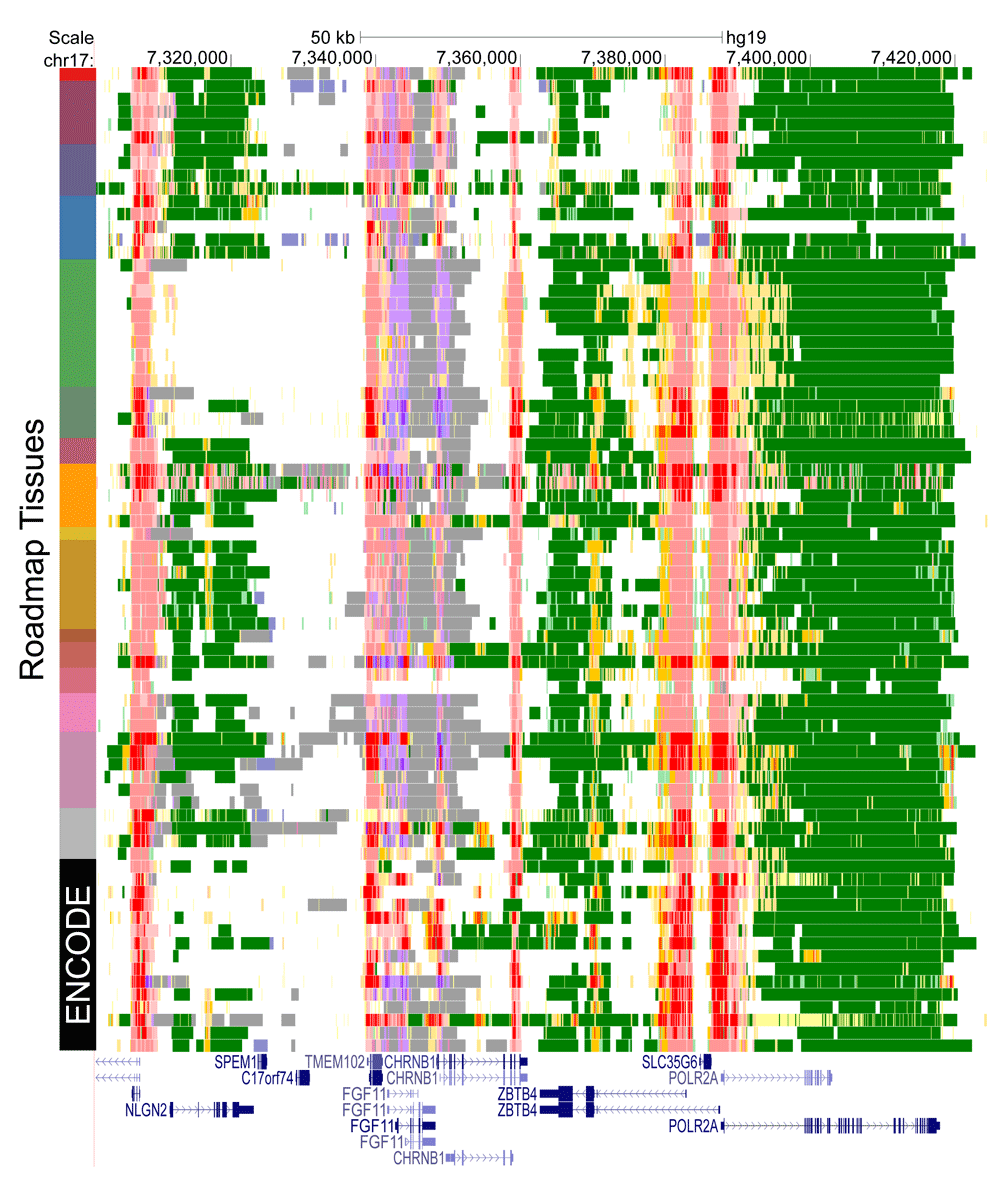 63d78e54-5d21-4948-857f-3cafb9bd7554_figure2.gif