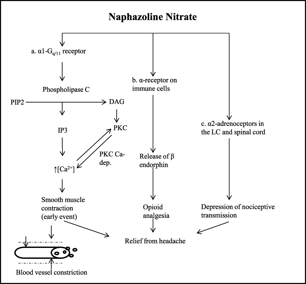 Nasal decongestant and chronic headache a case... F1000Research