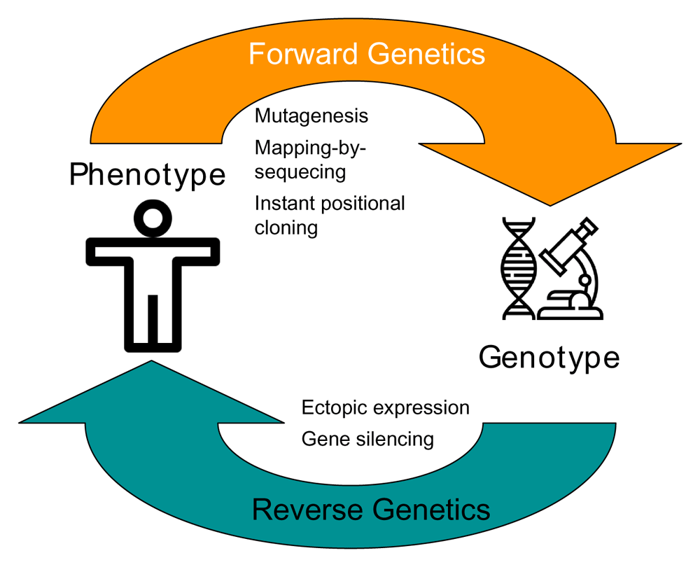 Moving forward with forward A summary... F1000Research