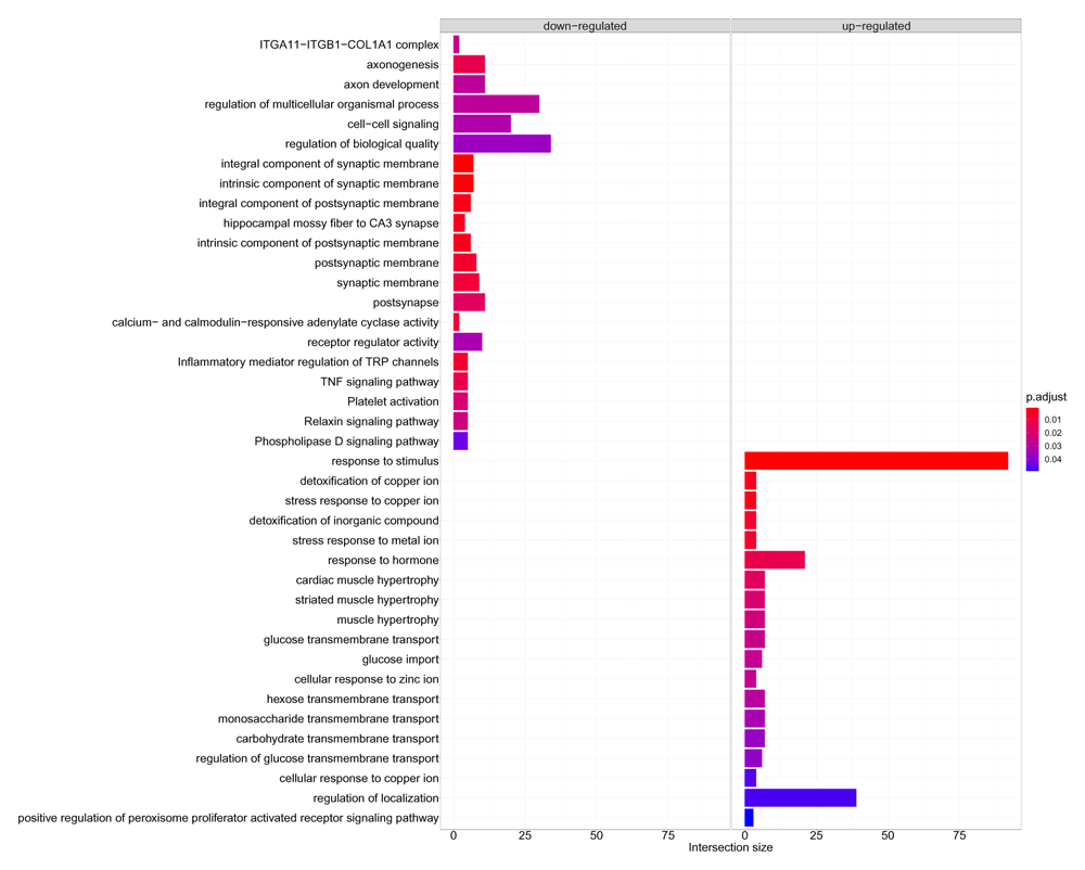Gprofiler gprofiler2 -- an R package for gene list functional... | F1000Research