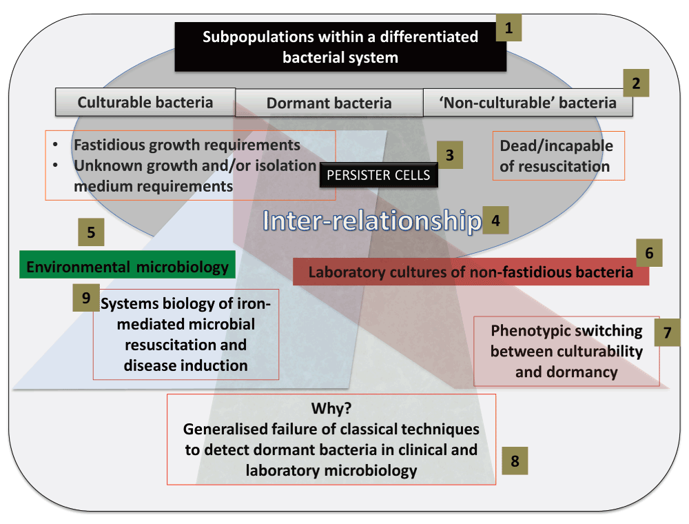 Individuality Phenotypic Differentiation Dormancy F1000research