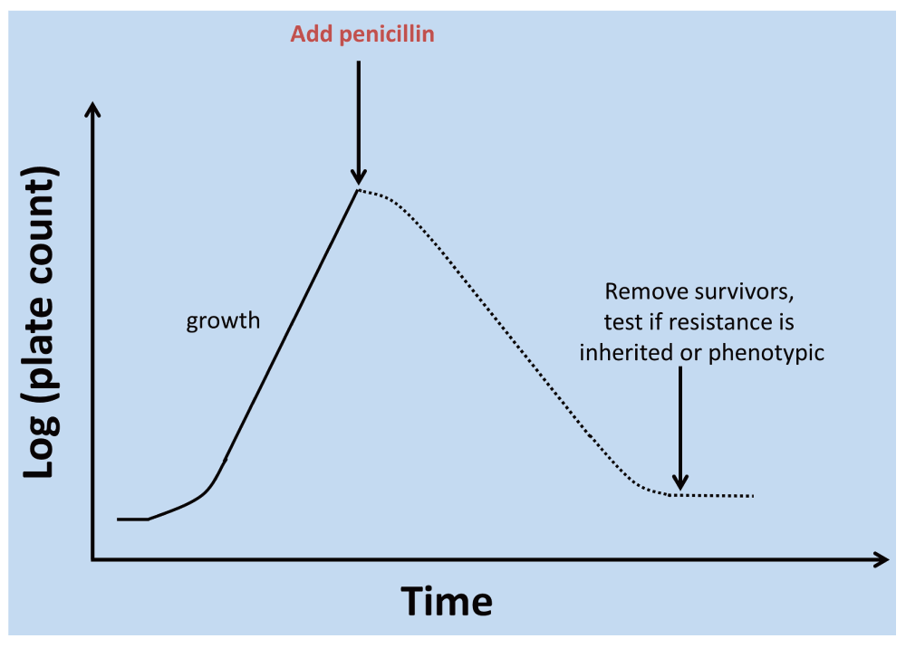 Individuality Phenotypic Differentiation Dormancy F1000research