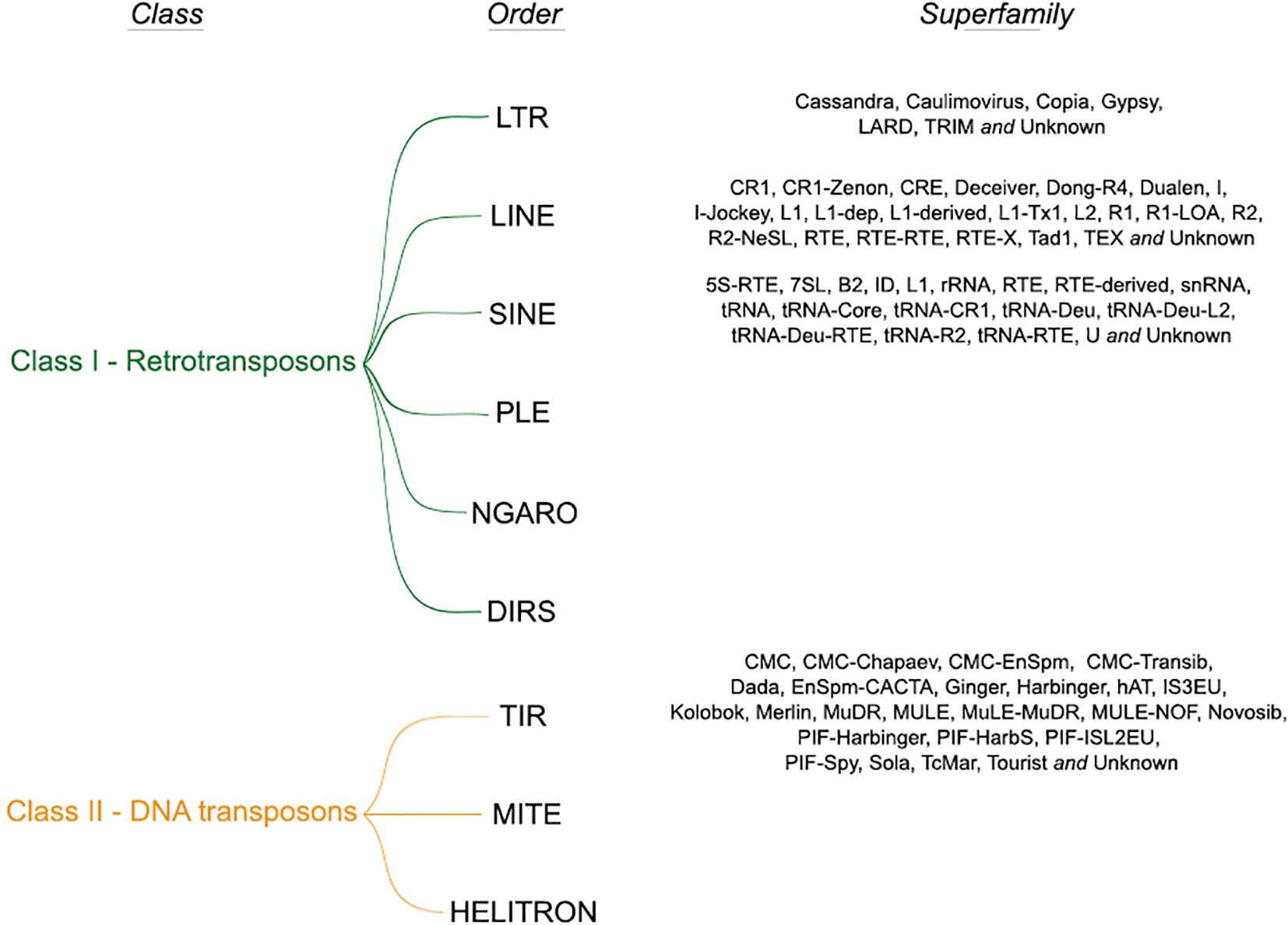 An Atlas Of Plant Transposable Elements F1000research An Atlas Of Plant Transposable Elements F1000research