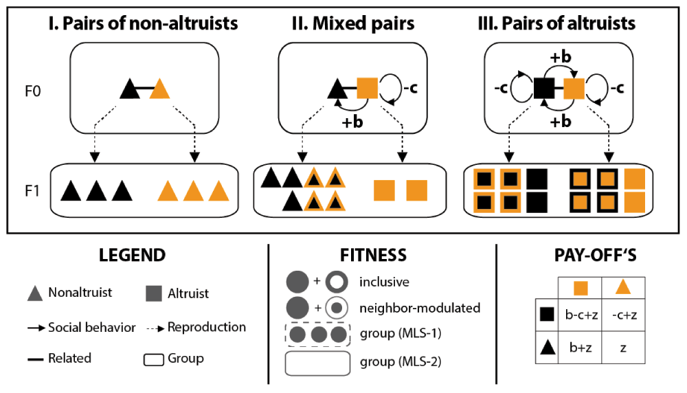 Kin and multilevel selection in social evolution a... F1000Research
