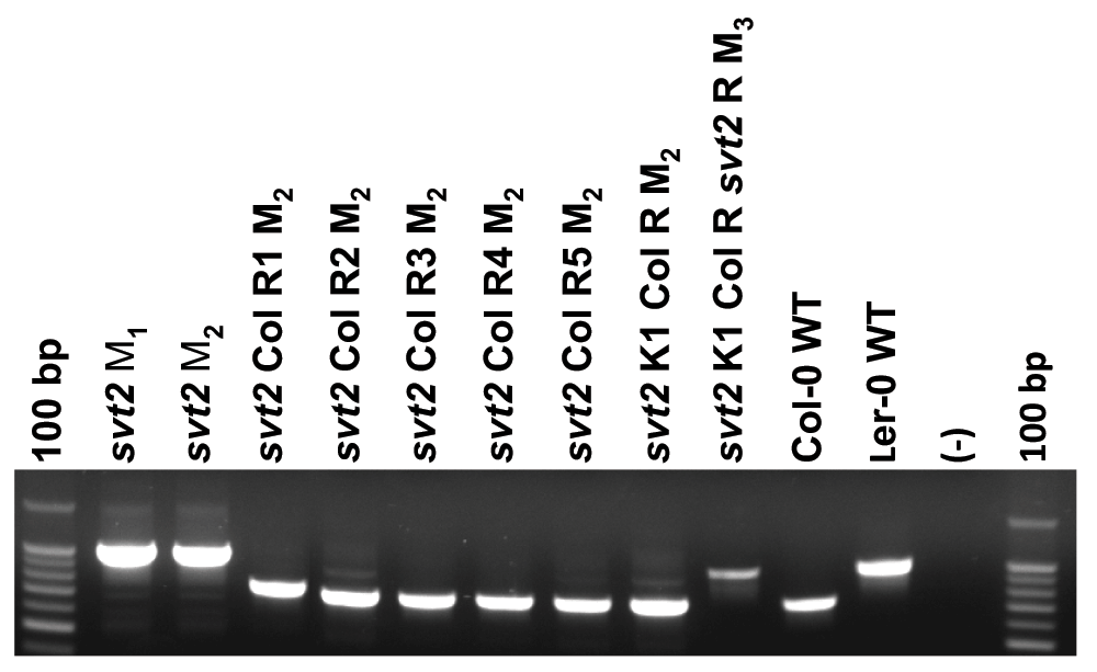 7b565f21-2876-4cff-aac3-28a94aa559c0_figure9.gif
