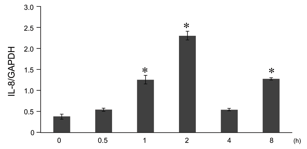 e3c8ca8d-1b2b-4044-a9fa-1df8a12b54ef_figure2.gif