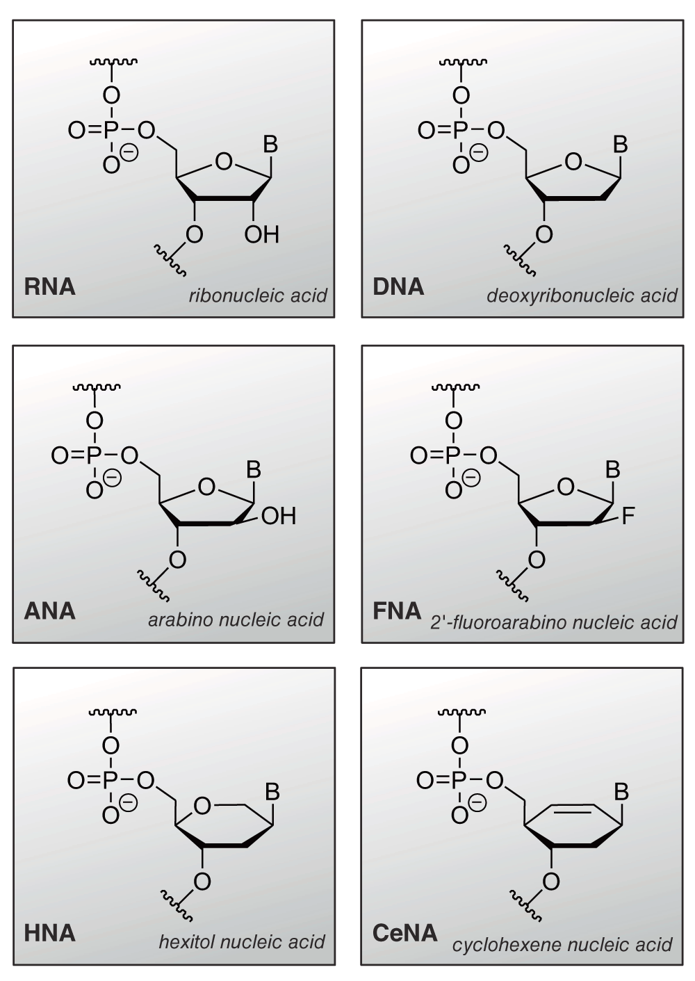 Thirtyfive years of research into ribozymes and... F1000Research