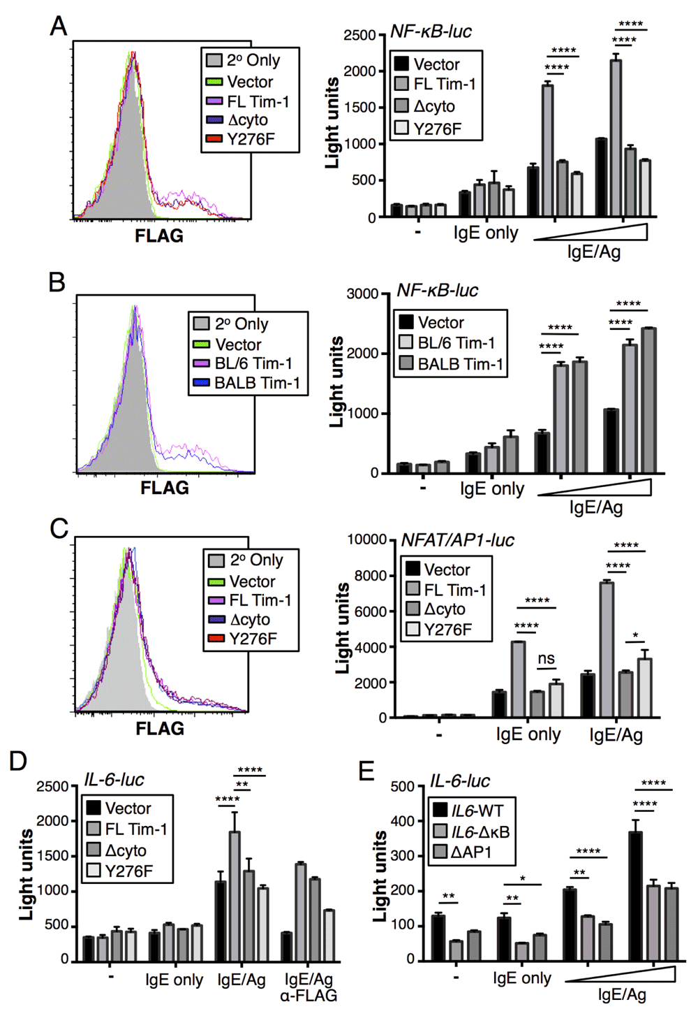 mast cell activation is enhanced by tim1:tim4 interaction but
